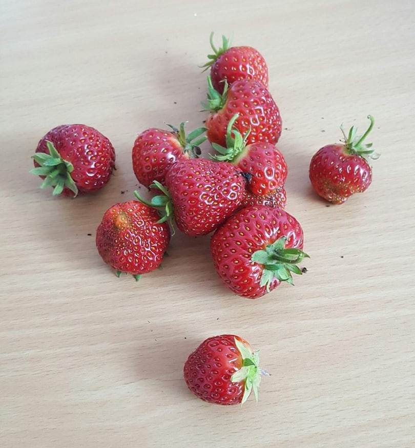 Strawberries….
